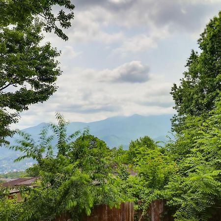 Gatlinburg Home Mountain Views And Indoor Hot Tub! 外观 照片